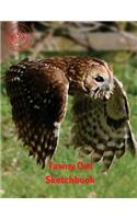 Tawny Owl Sketchbook