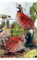 Bobwhite Quail Notebook: 6 X 9 Small Notebook with 120 Pages of College-Ruled Paper for Various Writing Purposes