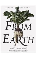 From the Earth