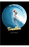 Trestles California: Surfing Journal - Schedule Organizer Travel Diary - 6x9 100 Pages College Ruled Notebook(25 Beach Notebook Series - Volume 25)