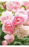 Beautiful Pink Roses Growing in a Colorado Garden Journal: Take Notes, Write Down Memories in this 150 Page Lined Journal