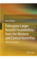 Paleogene larger rotaliid foraminifera from the western and central Neotethys