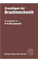 Grundlagen Der Bruchmechanik