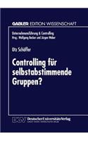 Controlling für selbstabstimmende Gruppen?