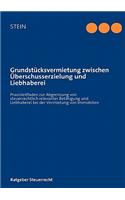Grundstücksvermietung zwischen Überschusserzielung und Liebhaberei