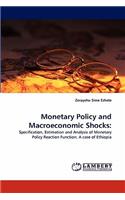 Monetary Policy and Macroeconomic Shocks