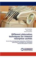 Different obturation techniques for internal resorptive cavities