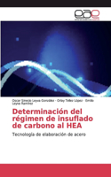 Determinación del régimen de insuflado de carbono al HEA