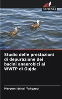 Studio delle prestazioni di depurazione dei bacini anaerobici al WWTP di Oujda