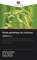 Étude génétique du riz(Oryza sativa L.)