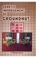 Genetic Improvement of Groundnut