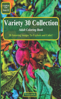 Variety 30 Collection (Issue #2): Adult Coloring Book