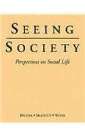 Seeing Society