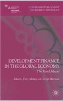 Development Finance in the Global Economy