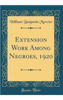 Extension Work Among Negroes, 1920 (Classic Reprint)