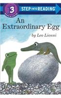 An Extraordinary Egg