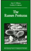 The Rumen Protozoa
