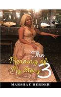 Meaning of My Story 3