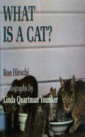 What Is a Cat?