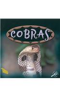 Cobras