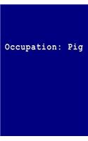 Occupation