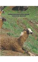 Composition Notebook College Ruled: High School, llama Alpaca, College, Animal, Nature Cover, Cute Composition Notebook, College Notebooks, Girl Boy School Notebook, Composition Book, 