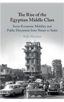 The Rise of the Egyptian Middle Class