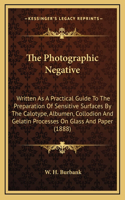 The Photographic Negative