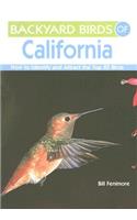 Backyard Birds of California: How to Identify and Attract the Top 25 Birds