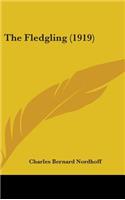Fledgling (1919)