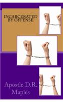 Incarcerated by Offense