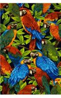 Parrots Blank Book