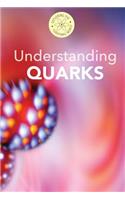 Understanding Quarks