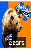 Fantastic Facts about Bears