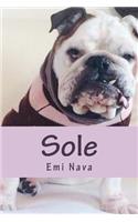 Sole