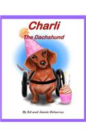 Charli the Dachshund