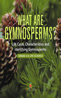 What Are Gymnosperms? Life Cycle, Characteristics and Identifying Gymnosperms Grade 6-8 Life Science