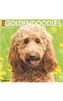 Just Goldendoodles 2020 Wall Calendar (Dog Breed Calendar)