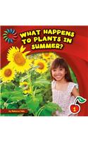 What Happens to Plants in Summer?