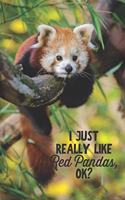 I Just Really Like Red Pandas, OK?