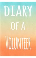 Diary of a Volunteer