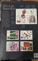 The Illustrated Atlas Of The Human Body