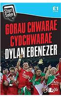 Stori Sydyn: Gorau Chwarae Cydchwarae