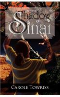 In the Shadow of Sinai