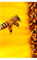 Bee Notebook