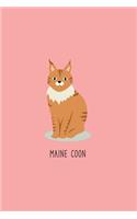 Maine Coon