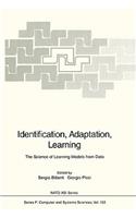 Identification, Adaptation, Learning