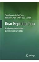 Boar Reproduction