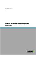 Selektion am Beispiel von Hochbegabten