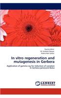 In vitro regeneration and mutagenesis in Gerbera